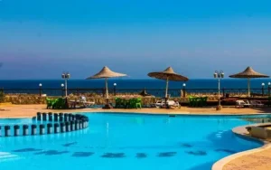 ليموزين مطار برج العرب شركة الرائد