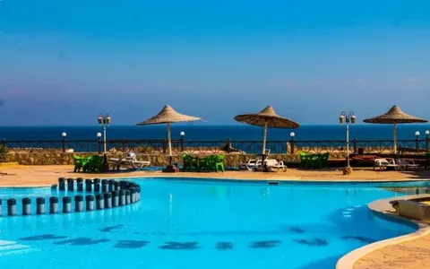 ليموزين مطار برج العرب شركة الرائد